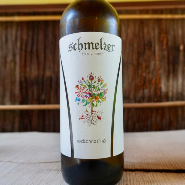 Welschriesling 2023 Schmelzer / ヴェルシュリースリング シュメルツアー