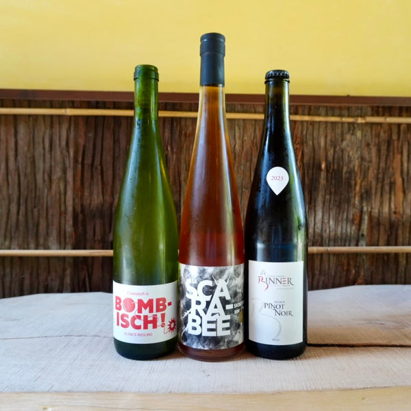 Pinot Noir 2023 Christian Binner / ピノ・ノワール クリスチャン・ビネール