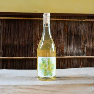 Oliver 2021 Kristinus