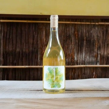 Oliver 2021 Kristinus