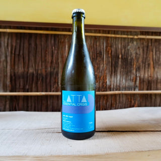 Essential Crisis 2022 LATTA Vino / エッセンシャル・クライシス ラッタ