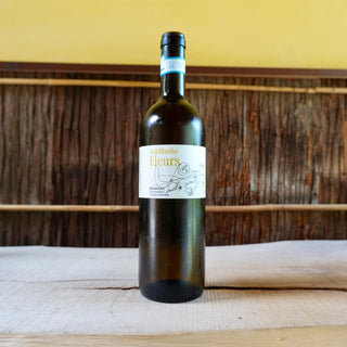 Sicilia Fleurs 2023 Valdibella / シチリア フルール ヴァルディベッラ