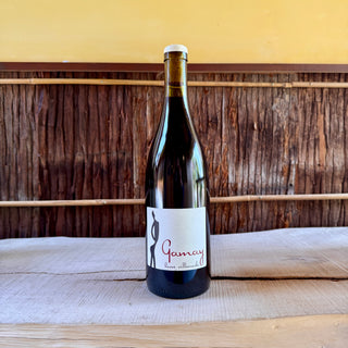 Cheverny Rouge - Domaine 2022 Hervé Villemade