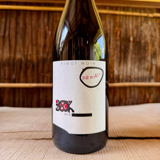 Pinot Noir Bambule 2022 Judith Beck / ピノノワール バンブル ユーディト・ベック