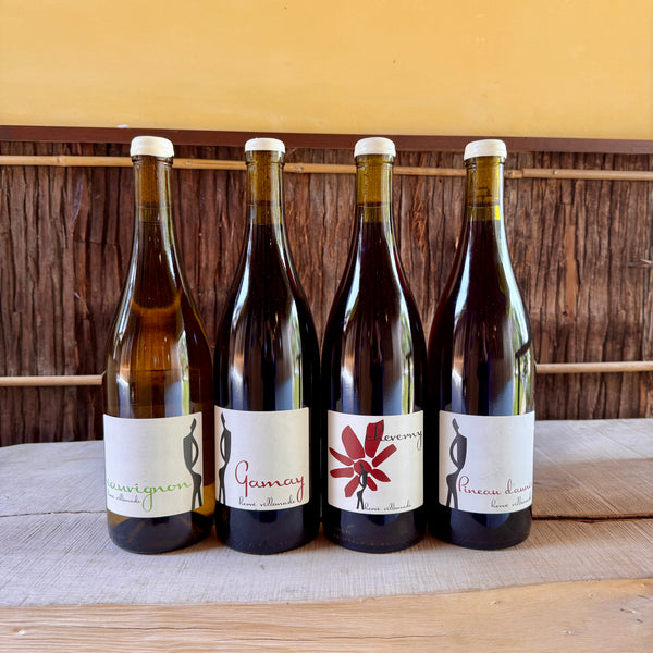 Pineau d’Aunis 2023 Hervé Villemade / ピノ・ドニス エルヴェ・ヴィルマード