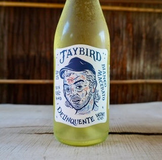 Jaybird 2025 Delinquente / ジェイバード デリンクエンテ