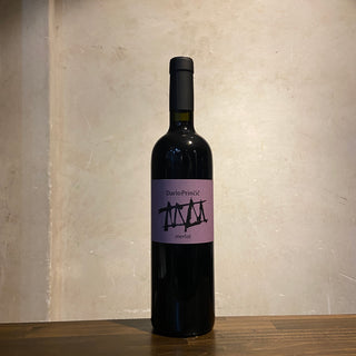 Merlot 2010 Dario Princic