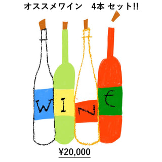 Recommended wine 4 bottles set 10%-15% discount
